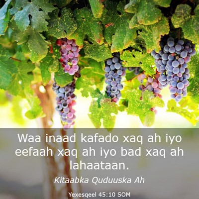 Picture 03 - Yexesqeel 45:10 SOM - Waa inaad kafado xaq ah iyo eefaah xaq ah iyo bad - Bible Verse Picture