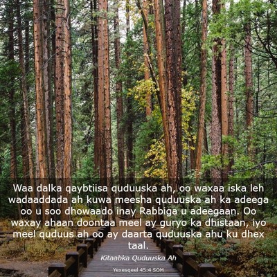 Picture 03 - Yexesqeel 45:4 SOM - Waa dalka qaybtiisa quduuska ah, oo waxaa iska - Bible Verse Picture