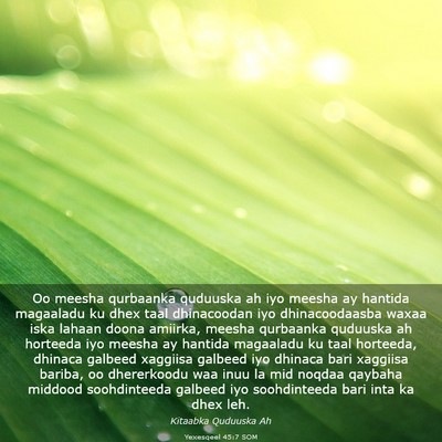 Picture 03 - Yexesqeel 45:7 SOM - Oo meesha qurbaanka quduuska ah iyo meesha ay - Bible Verse Picture