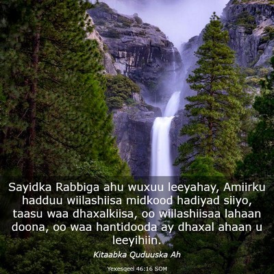 Picture 03 - Yexesqeel 46:16 SOM - Sayidka Rabbiga ahu wuxuu leeyahay, Amiirku - Bible Verse Picture