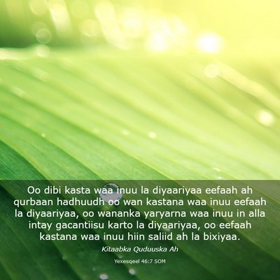 Picture 03 - Yexesqeel 46:7 SOM - Oo dibi kasta waa inuu la diyaariyaa eefaah ah - Bible Verse Picture