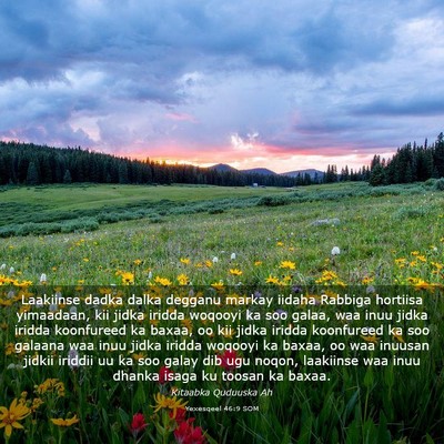 Picture 03 - Yexesqeel 46:9 SOM - Laakiinse dadka dalka degganu markay iidaha - Bible Verse Picture