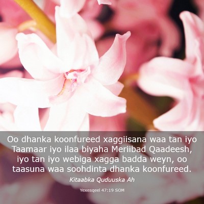 Picture 03 - Yexesqeel 47:19 SOM - Oo dhanka koonfureed xaggiisana waa tan iyo - Bible Verse Picture