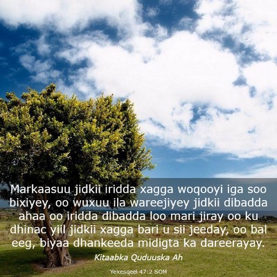 Picture 03 - Yexesqeel 47:2 SOM - Markaasuu jidkii iridda xagga woqooyi iga soo - Bible Verse Picture
