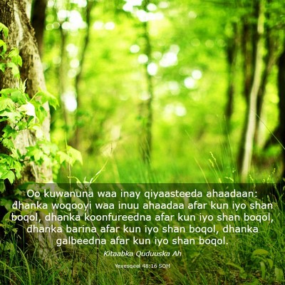 Picture 03 - Yexesqeel 48:16 SOM - Oo kuwanuna waa inay qiyaasteeda ahaadaan: dhanka - Bible Verse Picture