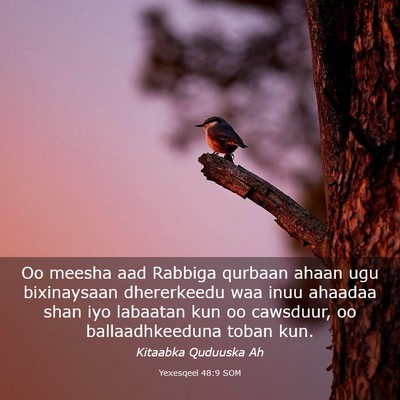 Picture 03 - Yexesqeel 48:9 SOM - Oo meesha aad Rabbiga qurbaan ahaan ugu - Bible Verse Picture