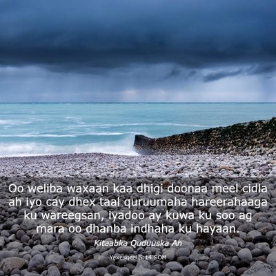 Picture 03 - Yexesqeel 5:14 SOM - Oo weliba waxaan kaa dhigi doonaa meel cidla ah - Bible Verse Picture