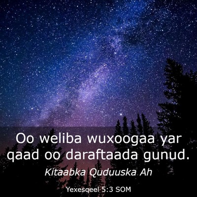 Picture 03 - Yexesqeel 5:3 SOM - Oo weliba wuxoogaa yar qaad oo daraftaada - Bible Verse Picture