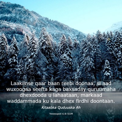 Picture 03 - Yexesqeel 6:8 SOM - Laakiinse qaar baan reebi doonaa, si aad wuxoogaa - Bible Verse Picture