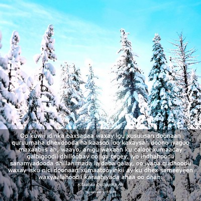 Picture 03 - Yexesqeel 6:9 SOM - Oo kuwii idinka baxsadaa waxay igu xusuusan - Bible Verse Picture
