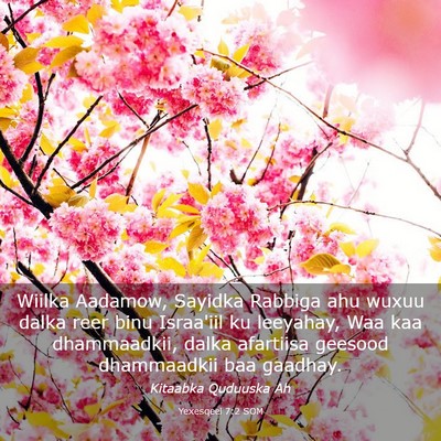 Picture 03 - Yexesqeel 7:2 SOM - Wiilka Aadamow, Sayidka Rabbiga ahu wuxuu dalka - Bible Verse Picture
