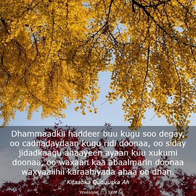Picture 03 - Yexesqeel 7:3 SOM - Dhammaadkii haddeer buu kugu soo degay, oo - Bible Verse Picture