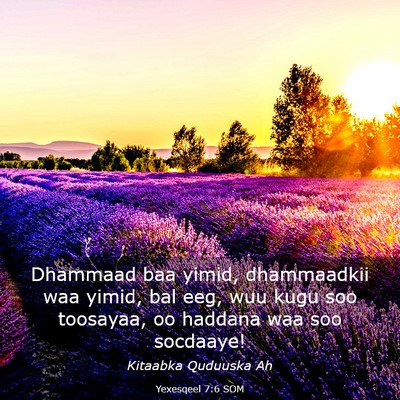 Picture 03 - Yexesqeel 7:6 SOM - Dhammaad baa yimid, dhammaadkii waa yimid, bal - Bible Verse Picture