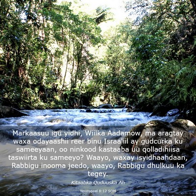 Picture 03 - Yexesqeel 8:12 SOM - Markaasuu igu yidhi, Wiilka Aadamow, ma aragtay - Bible Verse Picture