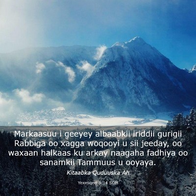 Picture 03 - Yexesqeel 8:14 SOM - Markaasuu i geeyey albaabkii iriddii gurigii - Bible Verse Picture