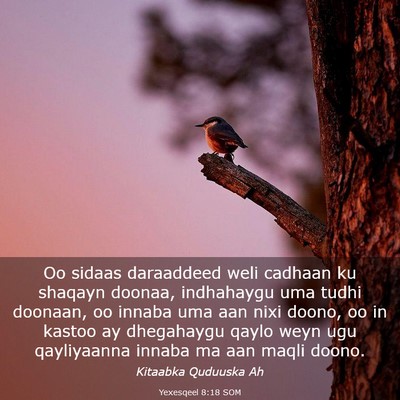 Picture 03 - Yexesqeel 8:18 SOM - Oo sidaas daraaddeed weli cadhaan ku shaqayn - Bible Verse Picture