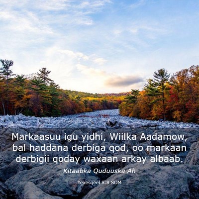 Picture 03 - Yexesqeel 8:8 SOM - Markaasuu igu yidhi, Wiilka Aadamow, bal haddana - Bible Verse Picture