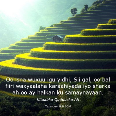 Picture 03 - Yexesqeel 8:9 SOM - Oo isna wuxuu igu yidhi, Sii gal, oo bal fiiri - Bible Verse Picture