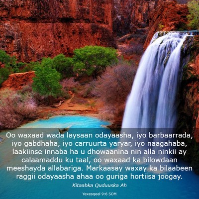 Picture 03 - Yexesqeel 9:6 SOM - Oo waxaad wada laysaan odayaasha, iyo - Bible Verse Picture