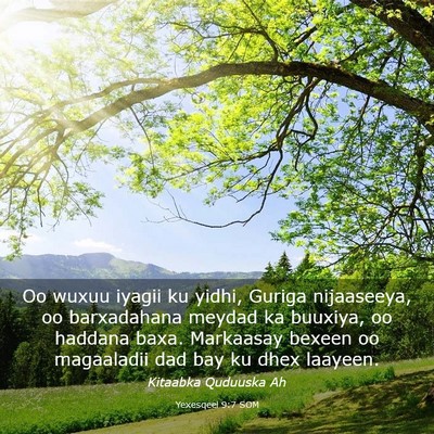 Picture 03 - Yexesqeel 9:7 SOM - Oo wuxuu iyagii ku yidhi, Guriga nijaaseeya, oo - Bible Verse Picture