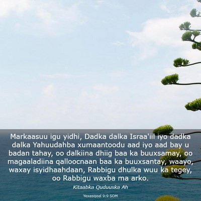 Picture 03 - Yexesqeel 9:9 SOM - Markaasuu igu yidhi, Dadka dalka Israa'iil iyo - Bible Verse Picture