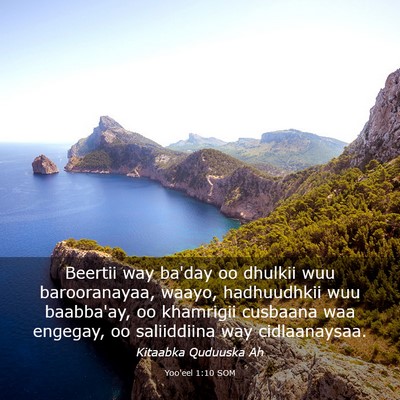 Picture 03 - Yoo'eel 1:10 SOM - Beertii way ba'day oo dhulkii wuu barooranayaa, - Bible Verse Picture