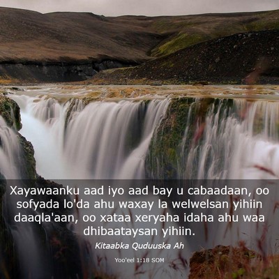 Picture 03 - Yoo'eel 1:18 SOM - Xayawaanku aad iyo aad bay u cabaadaan, oo - Bible Verse Picture