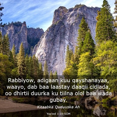 Picture 03 - Yoo'eel 1:19 SOM - Rabbiyow, adigaan kuu qayshanayaa, waayo, dab baa - Bible Verse Picture