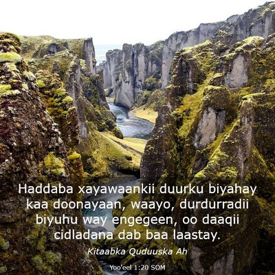 Picture 03 - Yoo'eel 1:20 SOM - Haddaba xayawaankii duurku biyahay kaa doonayaan, - Bible Verse Picture