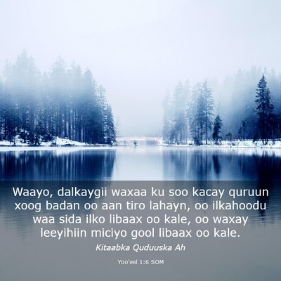 Picture 03 - Yoo'eel 1:6 SOM - Waayo, dalkaygii waxaa ku soo kacay quruun xoog - Bible Verse Picture
