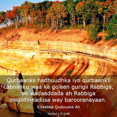 Picture 03 - Yoo'eel 1:9 SOM - Qurbaankii hadhuudhka iyo qurbaankii cabniinku - Bible Verse Picture