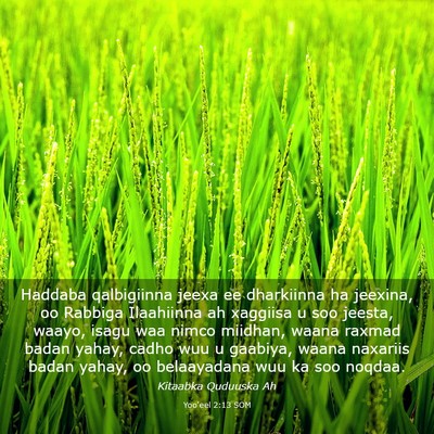 Picture 03 - Yoo'eel 2:13 SOM - Haddaba qalbigiinna jeexa ee dharkiinna ha - Bible Verse Picture