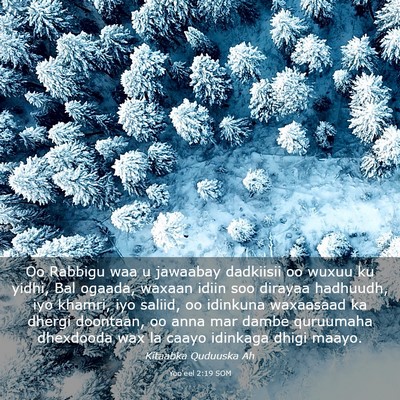 Picture 03 - Yoo'eel 2:19 SOM - Oo Rabbigu waa u jawaabay dadkiisii oo wuxuu ku - Bible Verse Picture