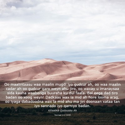 Picture 03 - Yoo'eel 2:2 SOM - Oo maalintaasu waa maalin mugdi iyo gudcur ah, oo - Bible Verse Picture