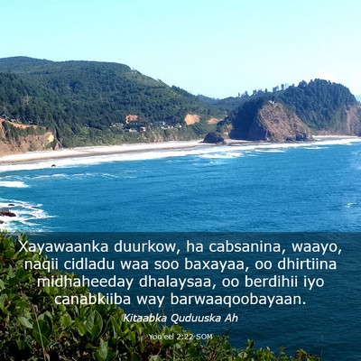 Picture 03 - Yoo'eel 2:22 SOM - Xayawaanka duurkow, ha cabsanina, waayo, naqii - Bible Verse Picture