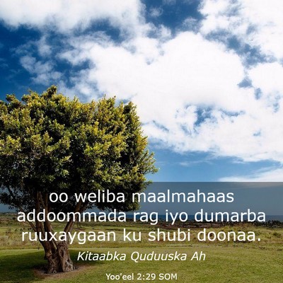 Picture 03 - Yoo'eel 2:29 SOM - oo weliba maalmahaas addoommada rag iyo dumarba - Bible Verse Picture