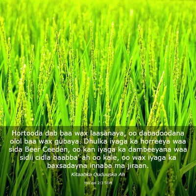 Picture 03 - Yoo'eel 2:3 SOM - Hortooda dab baa wax laasanaya, oo dabadoodana - Bible Verse Picture