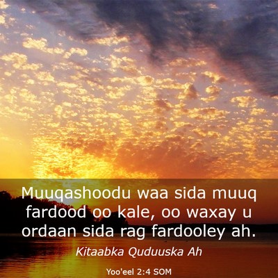 Picture 03 - Yoo'eel 2:4 SOM - Muuqashoodu waa sida muuq fardood oo kale, oo - Bible Verse Picture