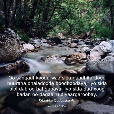Picture 03 - Yoo'eel 2:5 SOM - Oo sanqadhkoodu waa sida gaadhifardood buuraha - Bible Verse Picture