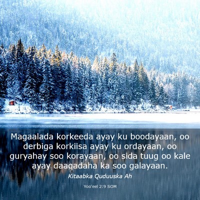 Picture 03 - Yoo'eel 2:9 SOM - Magaalada korkeeda ayay ku boodayaan, oo derbiga - Bible Verse Picture