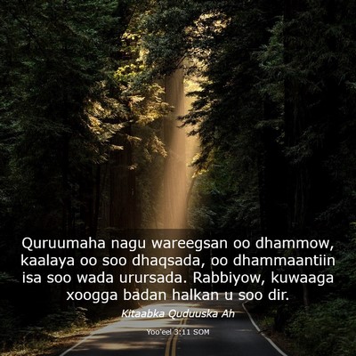 Picture 03 - Yoo'eel 3:11 SOM - Quruumaha nagu wareegsan oo dhammow, kaalaya oo - Bible Verse Picture