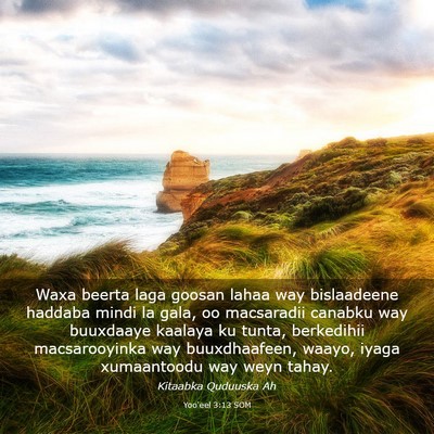 Picture 03 - Yoo'eel 3:13 SOM - Waxa beerta laga goosan lahaa way bislaadeene - Bible Verse Picture