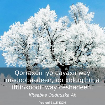 Picture 03 - Yoo'eel 3:15 SOM - Qorraxdii iyo dayaxii way madoobaadeen, oo - Bible Verse Picture