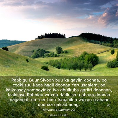 Picture 03 - Yoo'eel 3:16 SOM - Rabbigu Buur Siyoon buu ka qaylin doonaa, oo - Bible Verse Picture