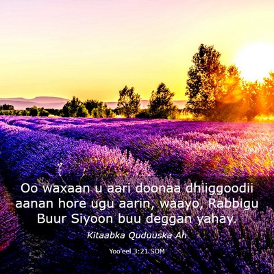 Picture 03 - Yoo'eel 3:21 SOM - Oo waxaan u aari doonaa dhiiggoodii aanan hore - Bible Verse Picture