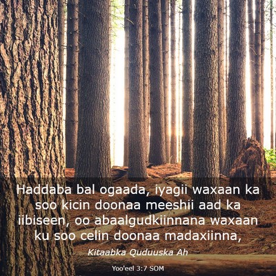 Picture 03 - Yoo'eel 3:7 SOM - Haddaba bal ogaada, iyagii waxaan ka soo kicin - Bible Verse Picture