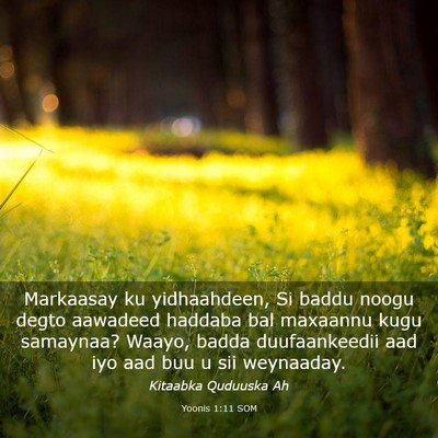 Picture 03 - Yoonis 1:11 SOM - Markaasay ku yidhaahdeen, Si baddu noogu degto - Bible Verse Picture