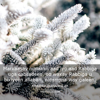 Picture 03 - Yoonis 1:16 SOM - Markaasay nimankii aad iyo aad Rabbiga uga - Bible Verse Picture