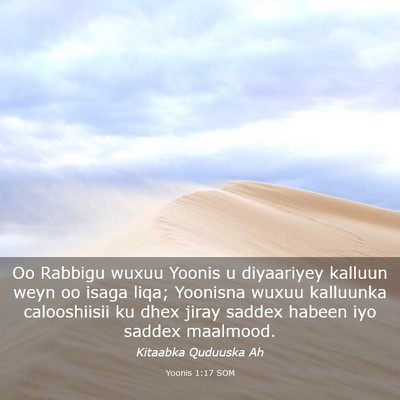 Picture 03 - Yoonis 1:17 SOM - Oo Rabbigu wuxuu Yoonis u diyaariyey kalluun weyn - Bible Verse Picture