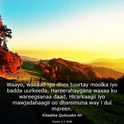 Picture 03 - Yoonis 2:3 SOM - Waayo, waxaad igu dhex tuurtay moolka iyo badda - Bible Verse Picture